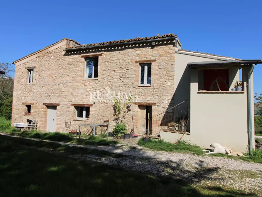 Immagine 10 di Rustico / casale in vendita  in contrada torbitello a Rotella