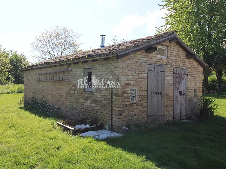 Immagine 3 di Rustico / casale in vendita  in contrada torbitello a Rotella