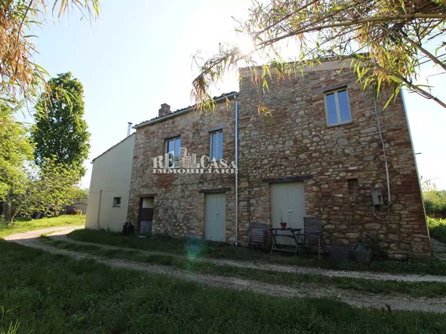Immagine 8 di Rustico / casale in vendita  in contrada torbitello a Rotella