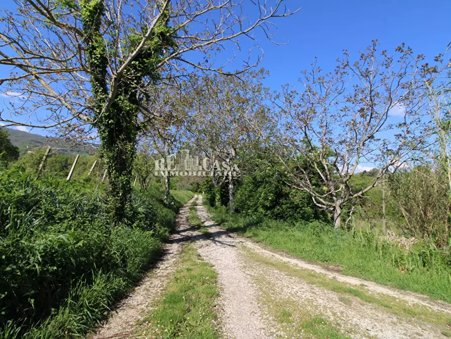 Immagine 11 di Rustico / casale in vendita  in contrada torbitello a Rotella