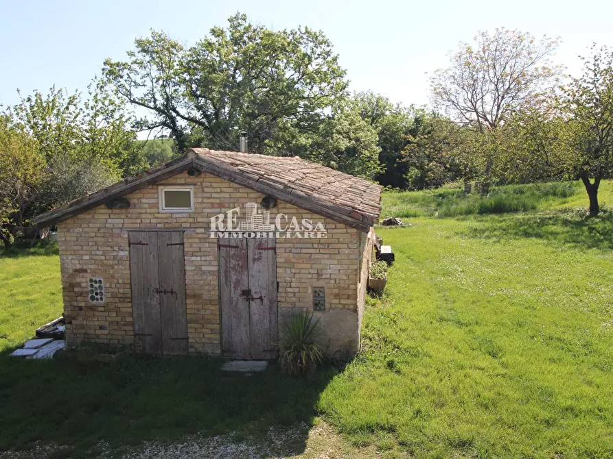 Immagine 50 di Rustico / casale in vendita  in contrada torbitello a Rotella