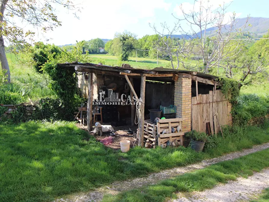 Immagine 51 di Rustico / casale in vendita  in contrada torbitello a Rotella