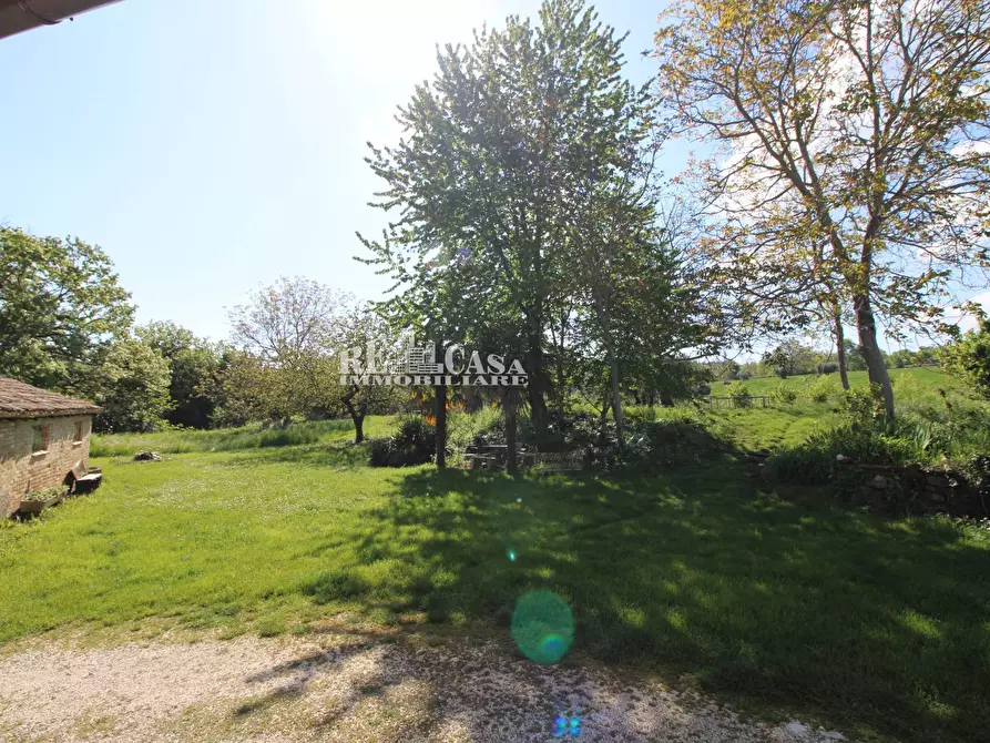 Immagine 53 di Rustico / casale in vendita  in contrada torbitello a Rotella