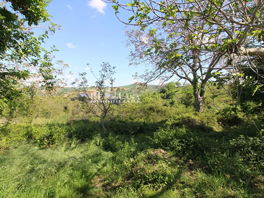 Immagine 64 di Rustico / casale in vendita  in contrada torbitello a Rotella
