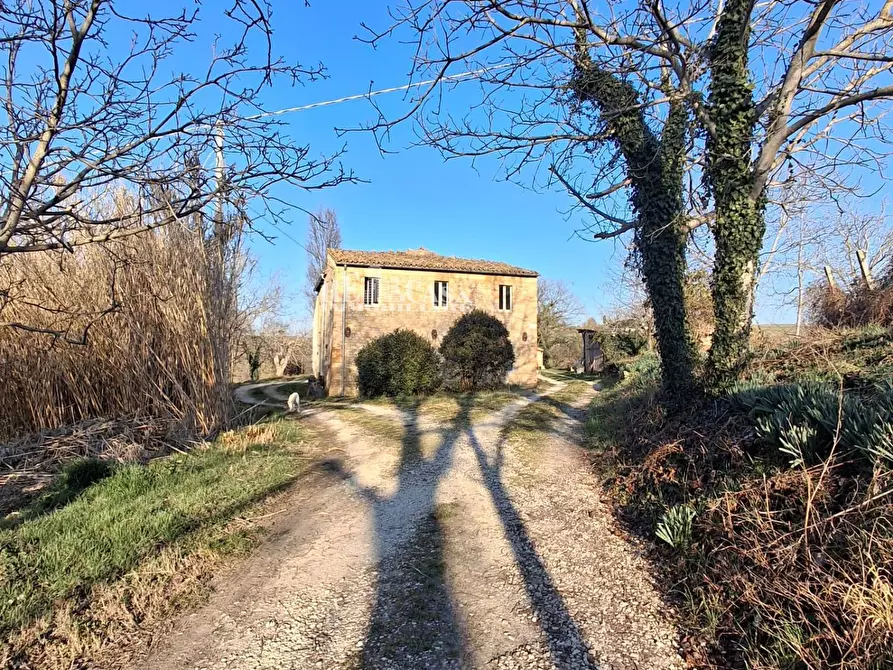 Immagine 9 di Rustico / casale in vendita  in contrada torbitello a Rotella