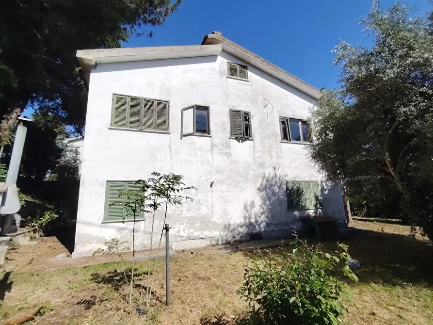 Immagine 6 di Villa in vendita  in VIA IV Novembre 59 a Colli Del Tronto