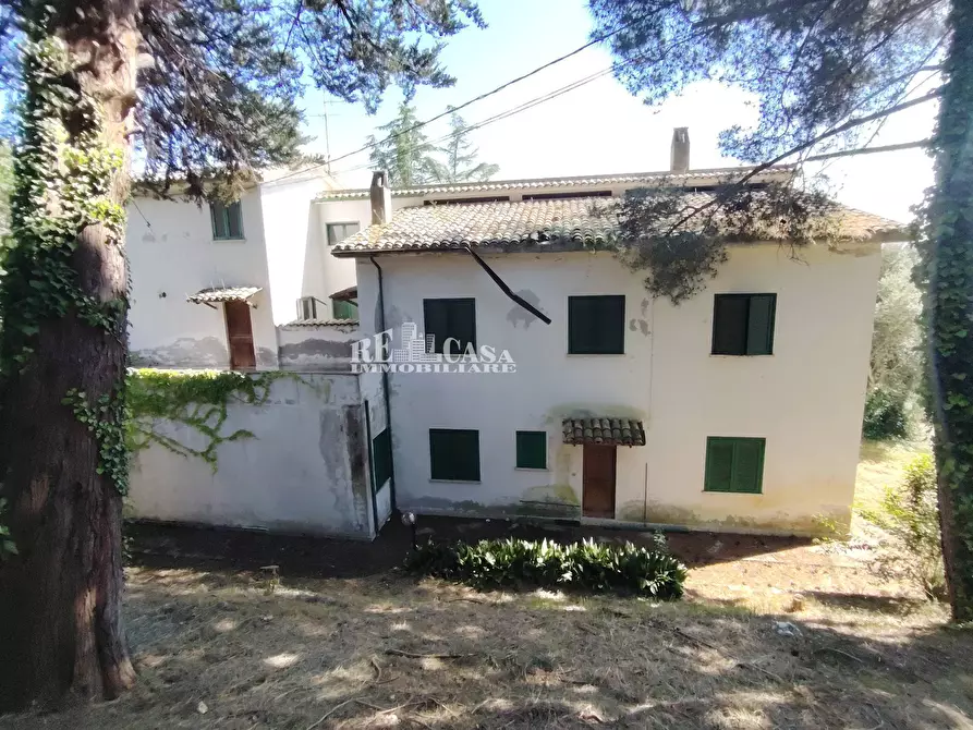 Immagine 11 di Villa in vendita  in VIA IV Novembre 59 a Colli Del Tronto