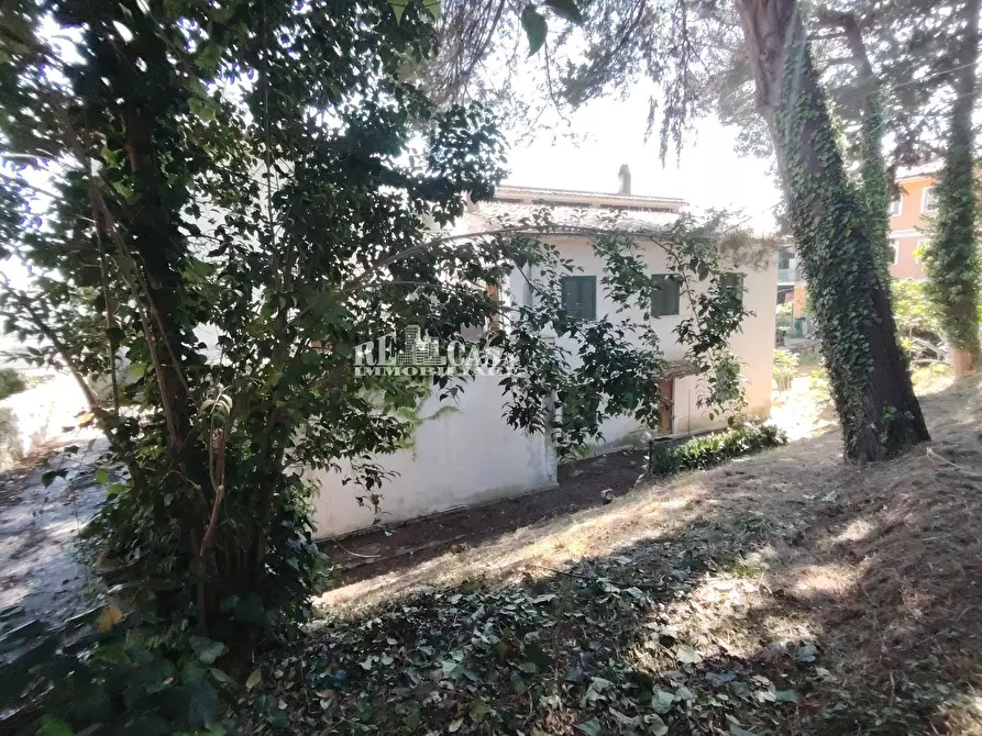 Immagine 13 di Villa in vendita  in VIA IV Novembre 59 a Colli Del Tronto