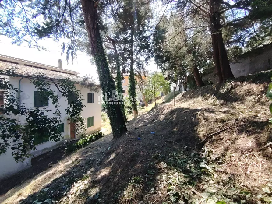 Immagine 14 di Villa in vendita  in VIA IV Novembre 59 a Colli Del Tronto