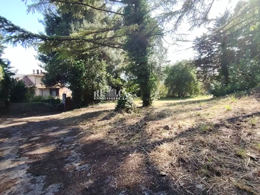Immagine 24 di Villa in vendita  in VIA IV Novembre 59 a Colli Del Tronto