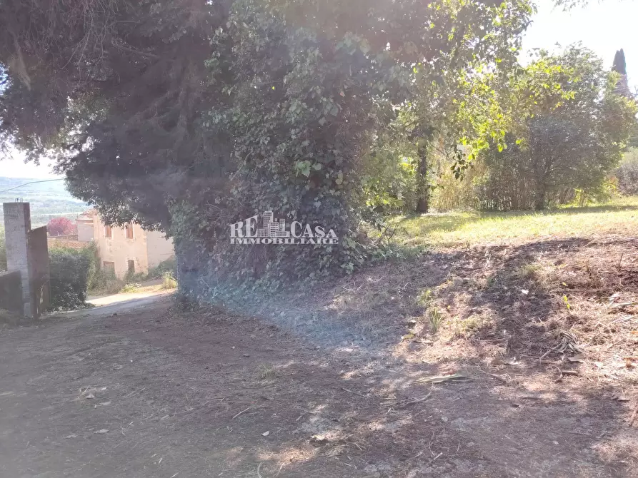 Immagine 25 di Villa in vendita  in VIA IV Novembre 59 a Colli Del Tronto