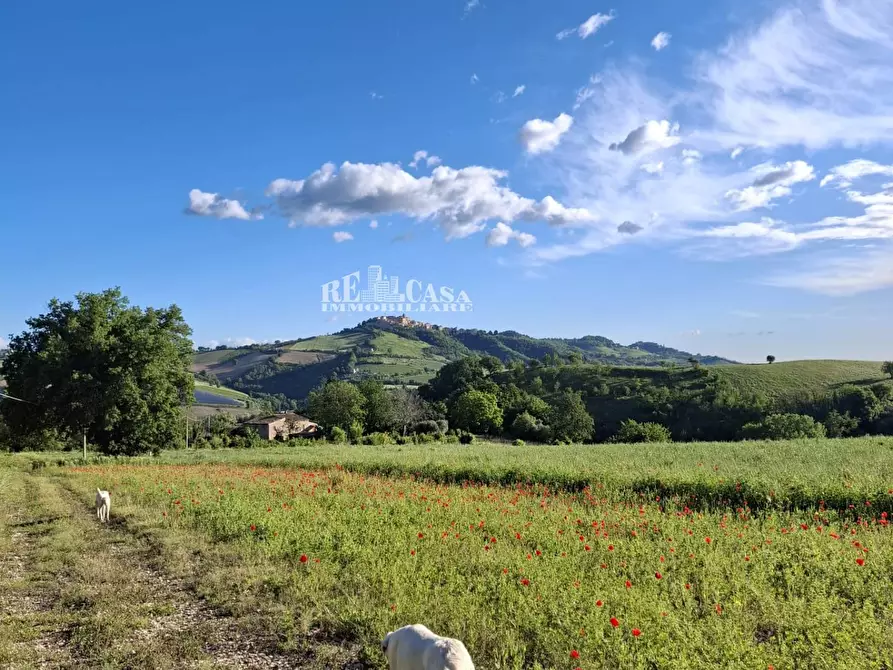 Immagine 67 di Rustico / casale in vendita  in contrada torbitello a Rotella