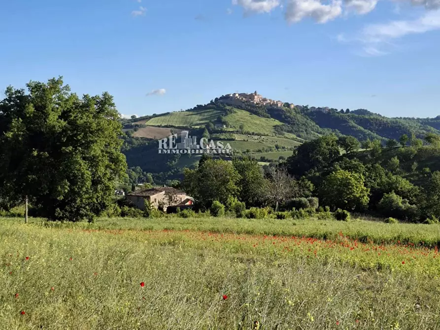 Immagine 68 di Rustico / casale in vendita  in contrada torbitello a Rotella