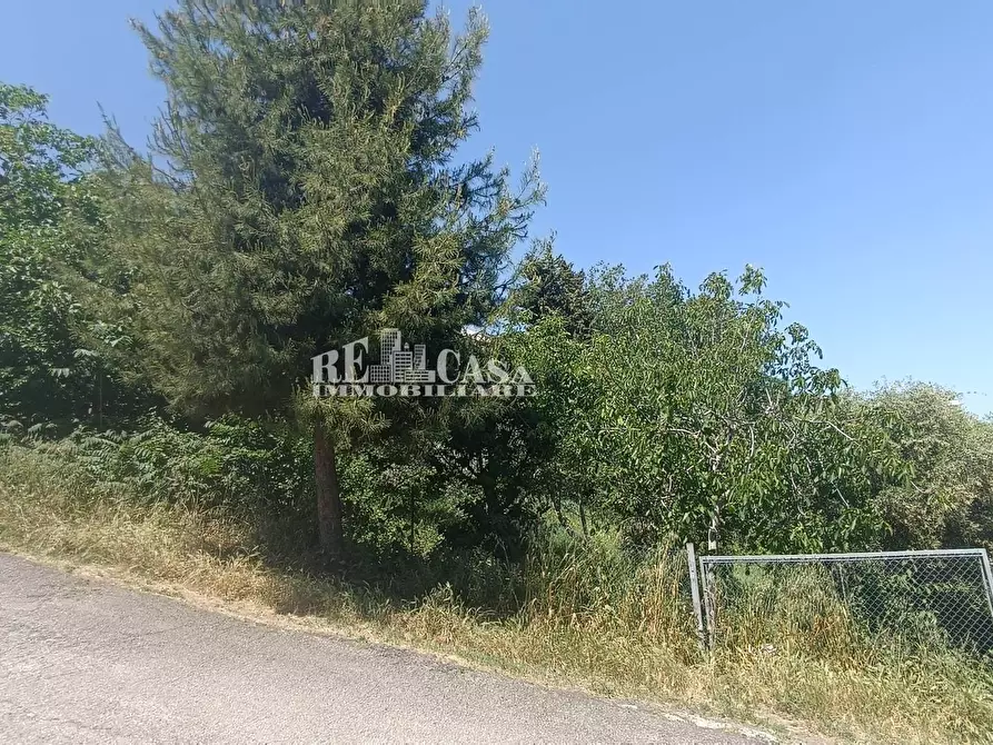 Immagine 1 di Terreno residenziale in vendita  in via mediterraneo a Monteprandone