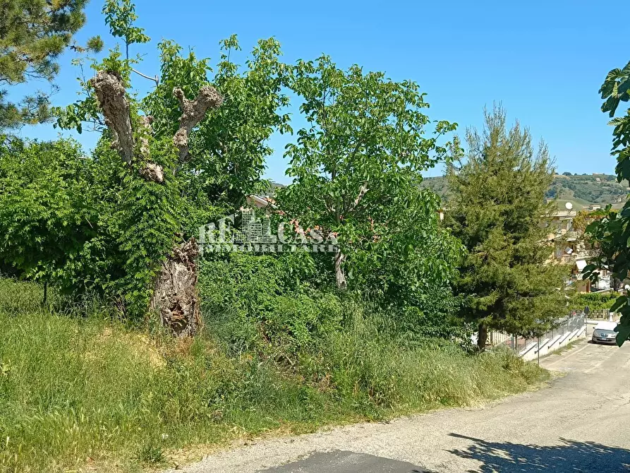 Immagine 2 di Terreno residenziale in vendita  in via mediterraneo a Monteprandone