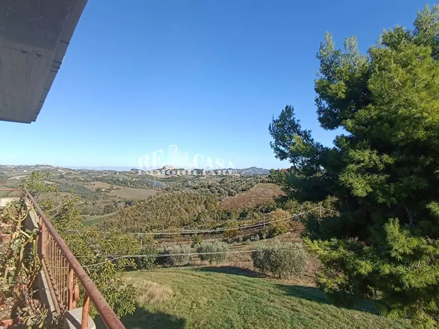 Immagine 12 di Casa indipendente in vendita  in pallino a Spinetoli
