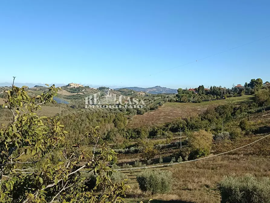 Immagine 14 di Casa indipendente in vendita  in pallino a Spinetoli