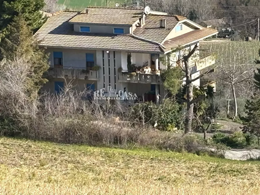 Immagine 15 di Casa indipendente in vendita  in pallino a Spinetoli
