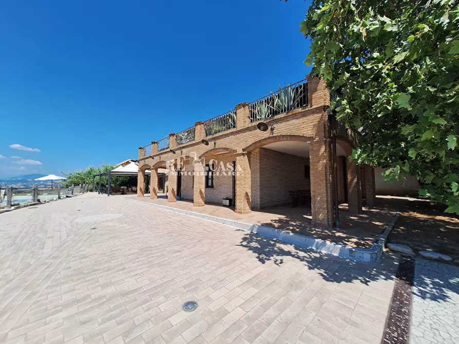 Immagine 2 di Agriturismo in vendita  a Acquaviva Picena