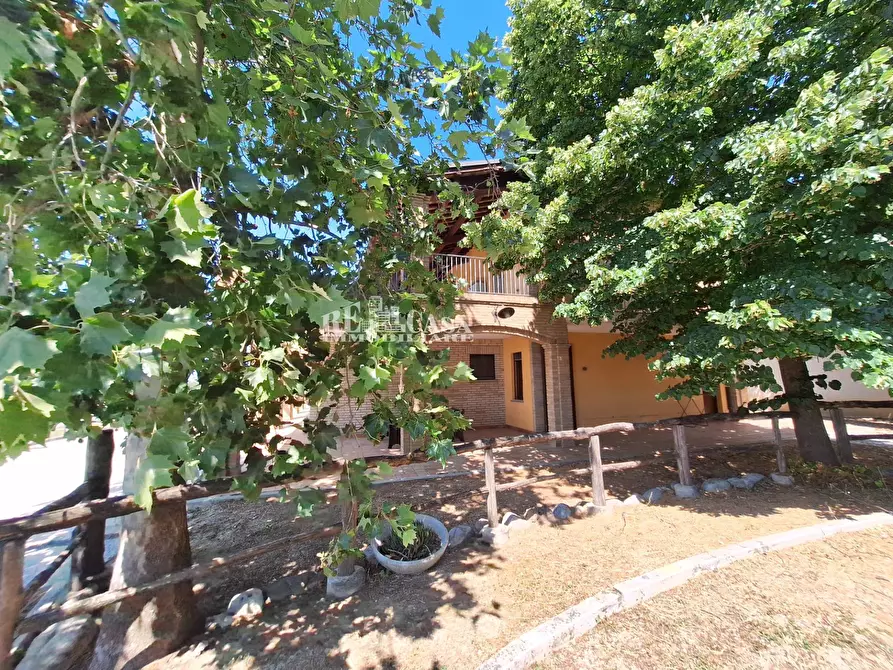 Immagine 4 di Agriturismo in vendita  a Acquaviva Picena