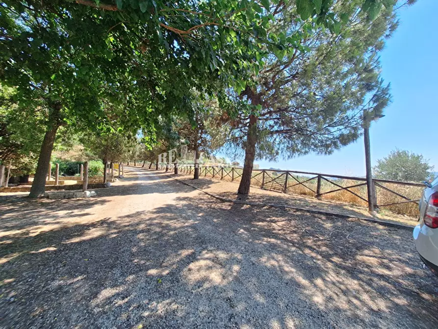 Immagine 5 di Agriturismo in vendita  a Acquaviva Picena