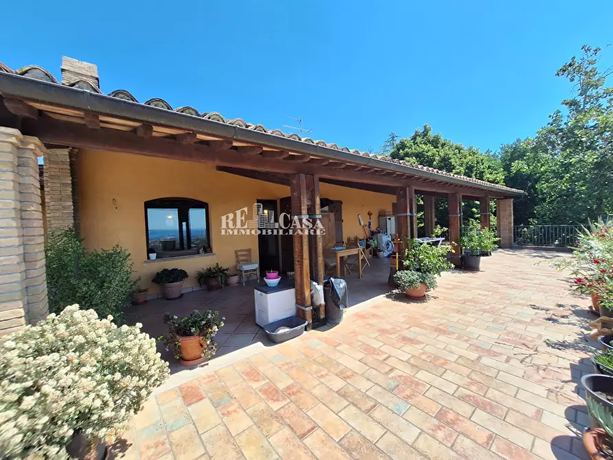 Immagine 16 di Agriturismo in vendita  a Acquaviva Picena