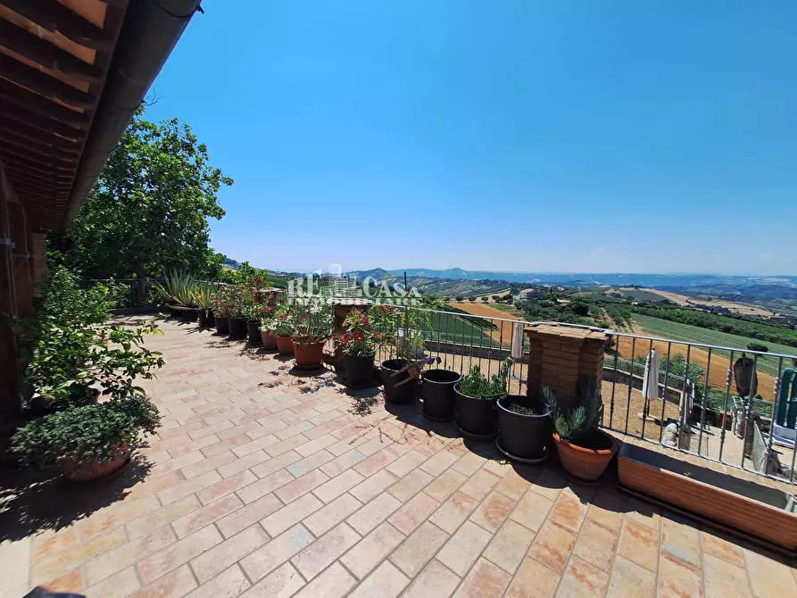 Immagine 17 di Agriturismo in vendita  a Acquaviva Picena