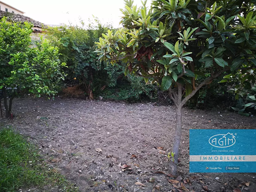 Immagine 27 di Rustico / casale in vendita  in Via Cappuccini 167 a Palermo