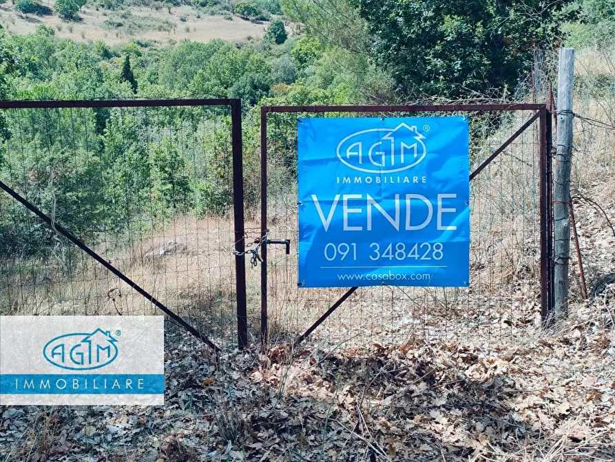 Immagine 2 di Terreno agricolo in vendita  a Petralia Sottana