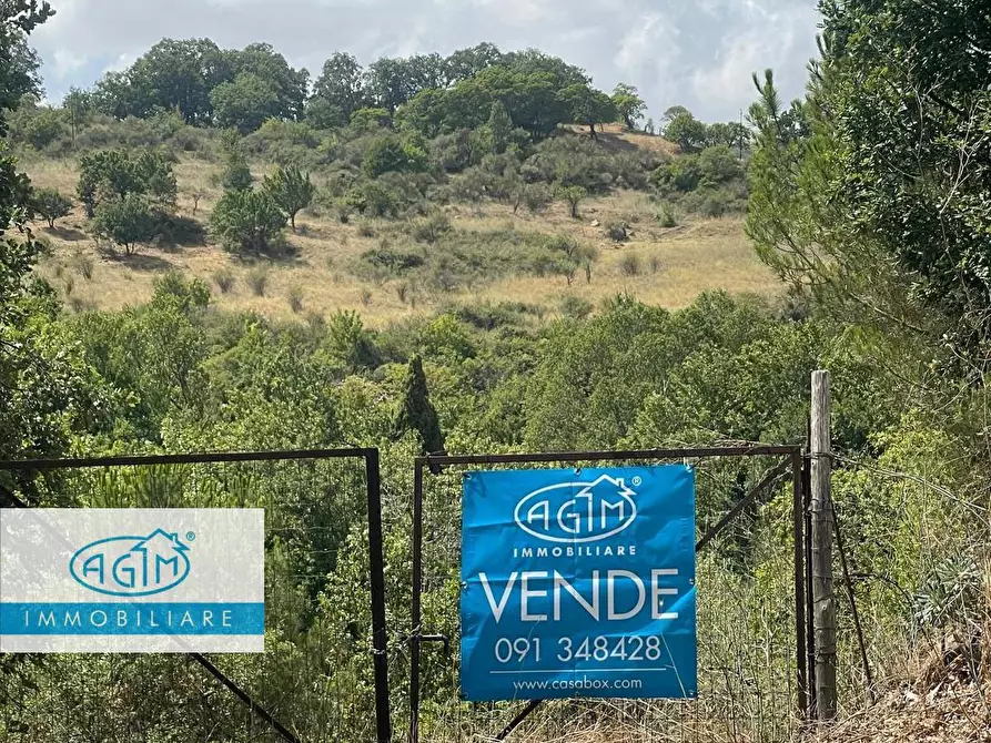 Immagine 3 di Terreno agricolo in vendita  a Petralia Sottana