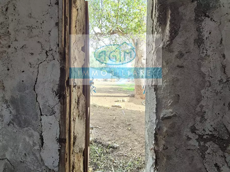 Immagine 19 di Rustico / casale in vendita  in Via Omero a Palermo
