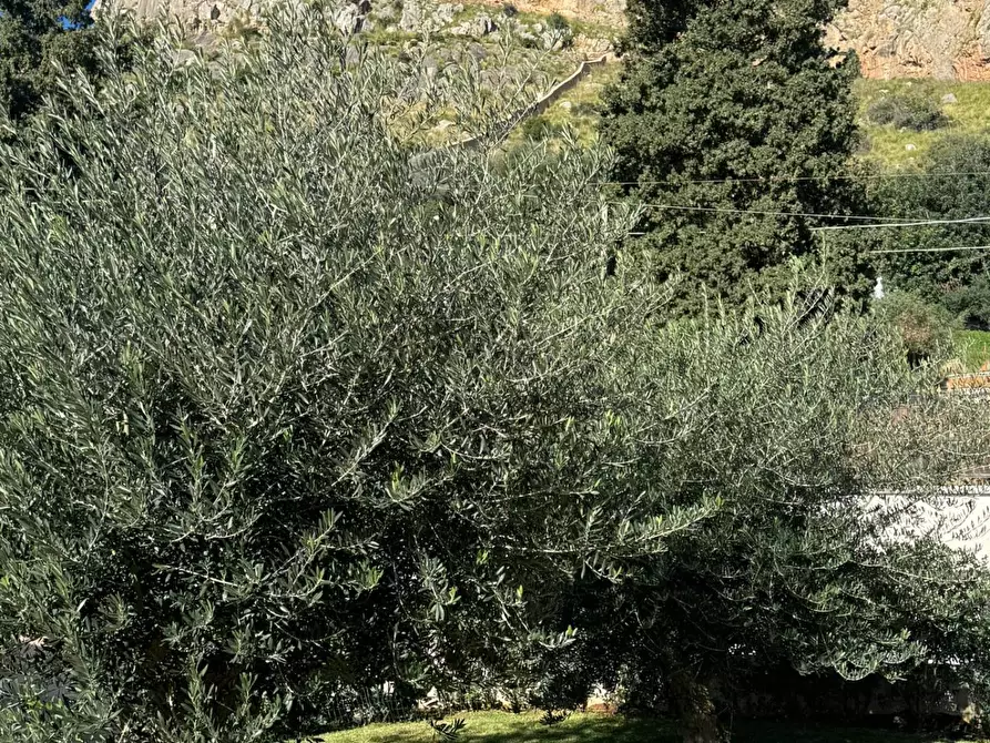 Immagine 66 di Villa in vendita  in Via Menelao 1 a Palermo