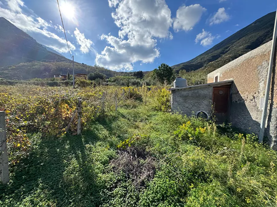 Immagine 9 di Terreno agricolo in vendita  in strada provinciale 182 a Fondachelli-Fantina