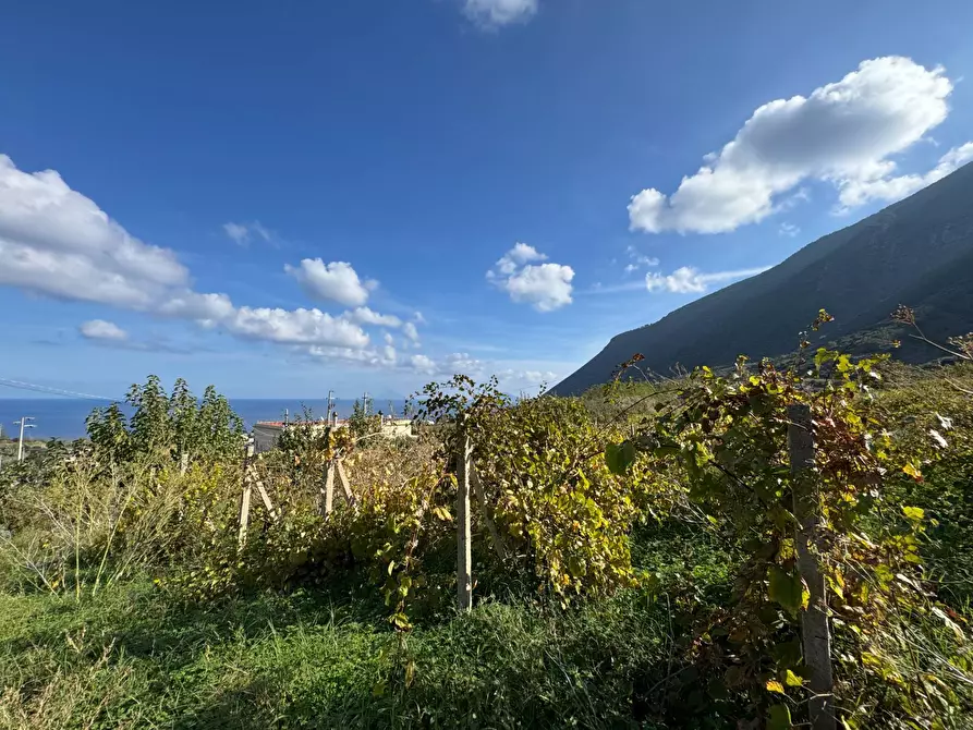 Immagine 10 di Terreno agricolo in vendita  in strada provinciale 182 a Fondachelli-Fantina
