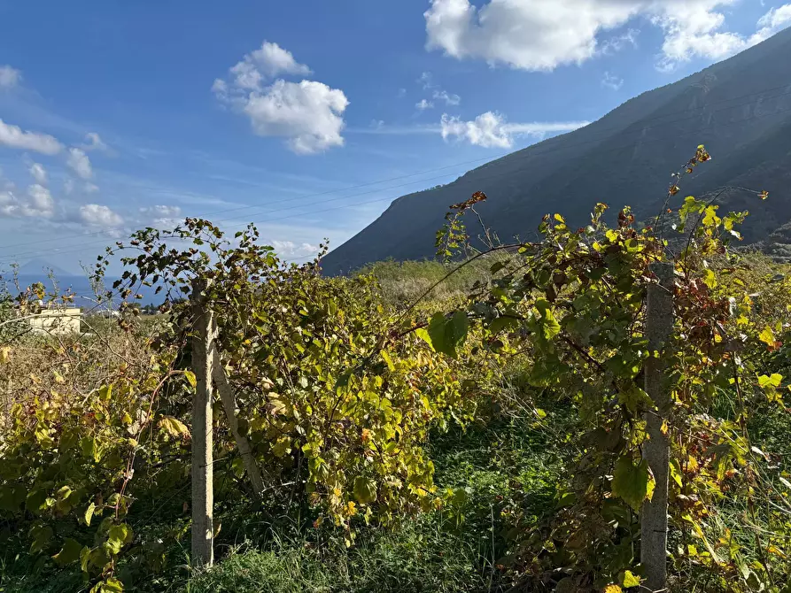 Immagine 11 di Terreno agricolo in vendita  in strada provinciale 182 a Fondachelli-Fantina