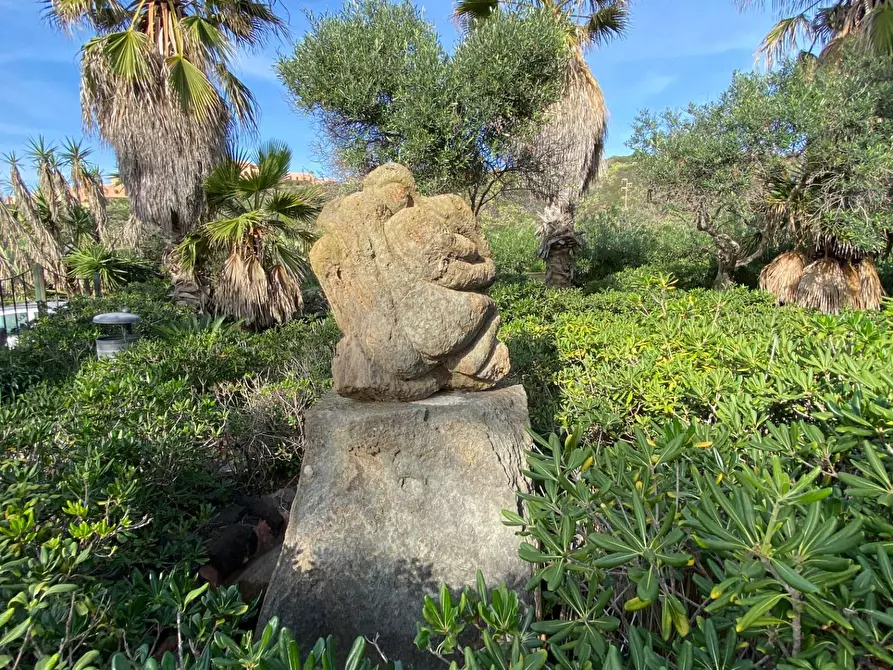 Immagine 10 di Locale commerciale in vendita  in Strada Perimetrale a Pantelleria