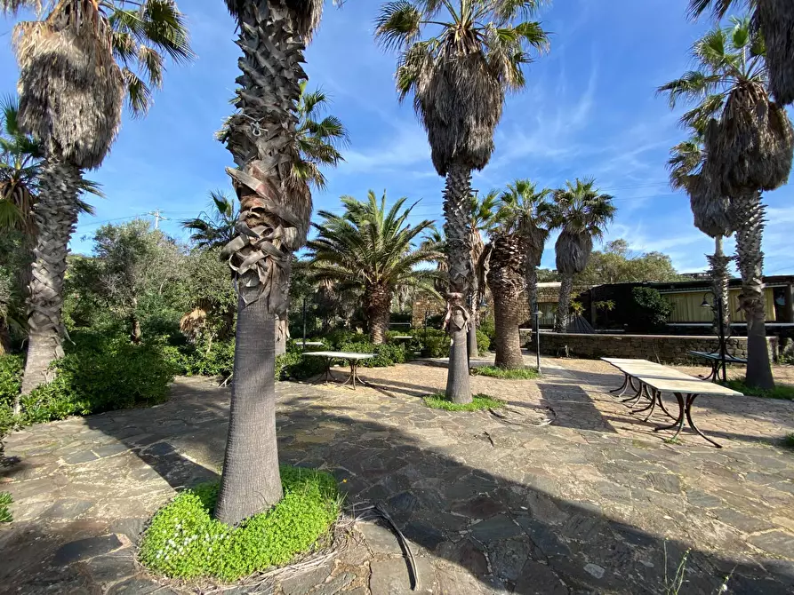 Immagine 17 di Locale commerciale in vendita  in Strada Perimetrale a Pantelleria