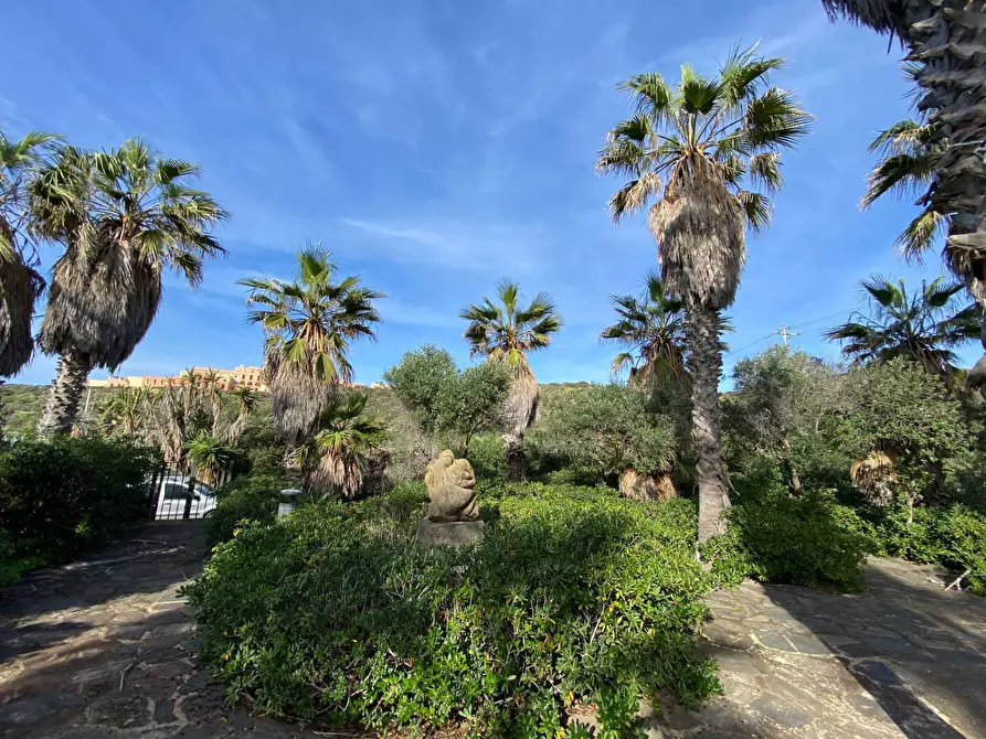 Immagine 14 di Locale commerciale in vendita  in Strada Perimetrale a Pantelleria