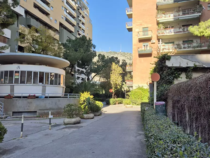Immagine 23 di Appartamento in vendita  in Viale Croce Rossa 81 a Palermo