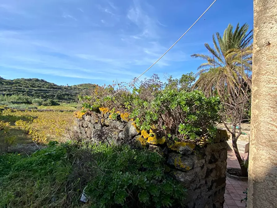 Immagine 6 di Villa in vendita  a Pantelleria