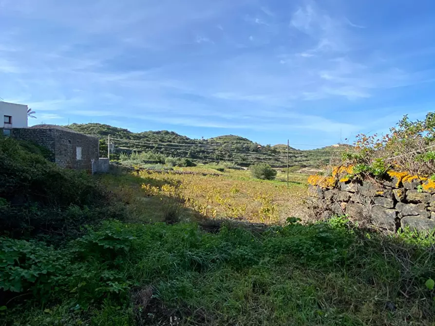 Immagine 4 di Villa in vendita  a Pantelleria
