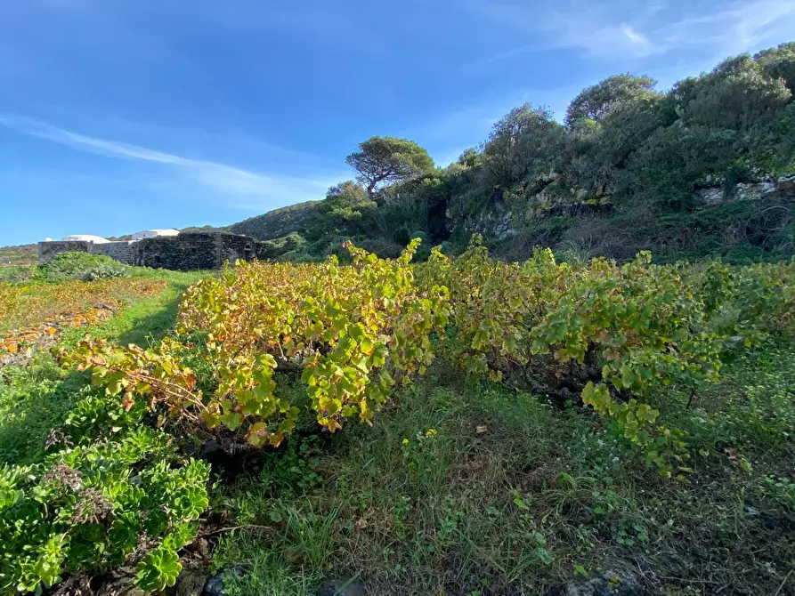 Immagine 11 di Villa in vendita  a Pantelleria