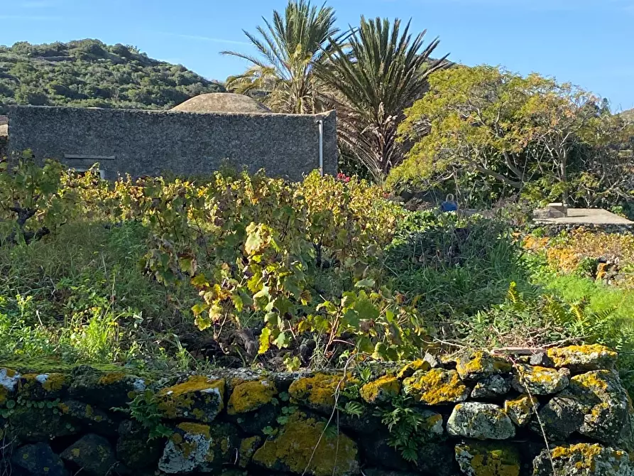 Immagine 34 di Villa in vendita  a Pantelleria