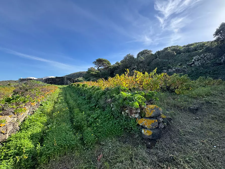 Immagine 15 di Villa in vendita  a Pantelleria