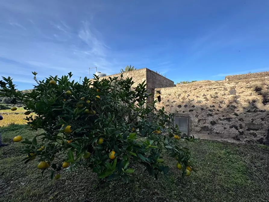 Immagine 23 di Villa in vendita  a Pantelleria