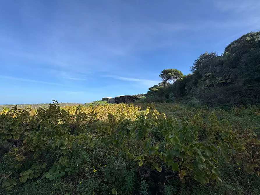 Immagine 27 di Villa in vendita  a Pantelleria