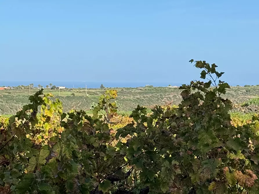 Immagine 33 di Villa in vendita  a Pantelleria
