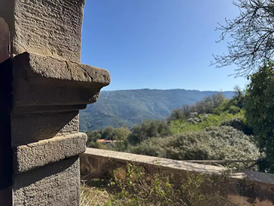 Immagine 14 di Azienda agricola in vendita  in santa venera snc a Sinagra
