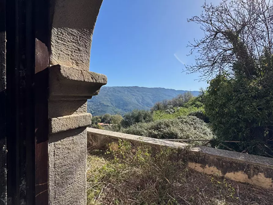 Immagine 15 di Azienda agricola in vendita  in santa venera snc a Sinagra