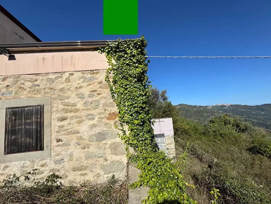 Immagine 17 di Azienda agricola in vendita  in santa venera snc a Sinagra